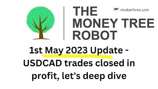 MoneyTree Trading Robot - Update on our Live Trading Account - 1st May 2023