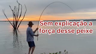 Pousamos na beira do rio grande em Guaraci sp.#pescaria #pesca #videodepescaria.