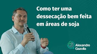 Alexandre Gazolla | Como ter uma dessecação bem feita em áreas de soja