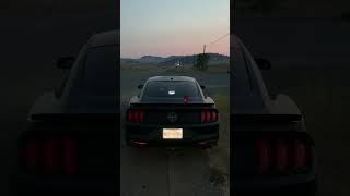 MUSTANG FAIL | Idiot Totals Rare Bullitt Mustang #shorts #mustang #fail #ford