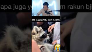 Gak gitu juga cuk #shorts #reaction #memes