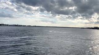 ST. JOHNS RIVER FERRY