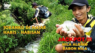 Mancing Di Selokan Joranku Dihajar Habis - habisan #mancingnila #babonnila #mancingnilaliar