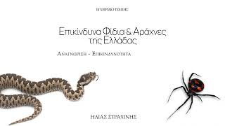 Επικίνδυνα Φίδια & Αράχνες της Ελλάδας - Εγχειρίδιο Τσέπης