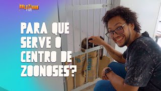 PARA QUE SERVE O CENTRO DE ZOONOSES? - RORAIMA DO BEM