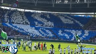 Schalke 04 Choreo in Hannover 7.4.24 #choreotime #2bundesliga #s04