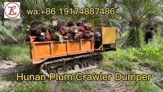 Plum Mewah Hunan Plum crawler dumper for palm plantation