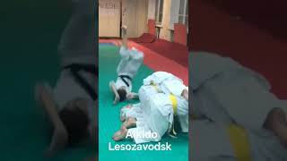 aikido Lesozavodsk