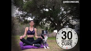 30 Second Cure - Tree of Life - VIII