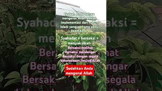 Sudahkan anda mengenal Allah #Allah #tuhan#makrifat# tasawuf