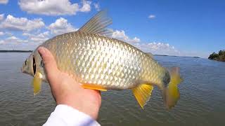 !!!! tive que apelar pra barranca do mato grosso!!! pescaria de piapara