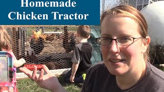 We Built a Chicken Tractor! and the Chicks are Loving It