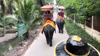 Elephant Ride in Bangkok Thailand 2024