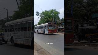 BEST AshokLeyland jnnurm bus #shorts #mumbaibestbuses #bestbus #busspotting  #ytshorts