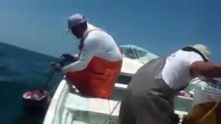 Esse deu trabalho! Quase afunda o barco! Captura de Peixe gigante assusta pescadores em alto mar