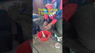 UMPAN IKAN MAS SUBANG 2 Kg 3 EKOR