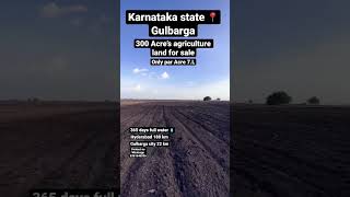 300 Acre’s agriculture land for sale Gulbarga || low price agriculture land sale Karnataka #gulbarga