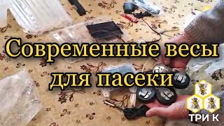 Современные весы для пасеки - Эксперимент 3К