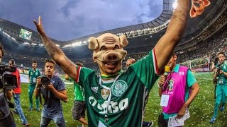 melhores momentos palmeiras e Atlético goianiense