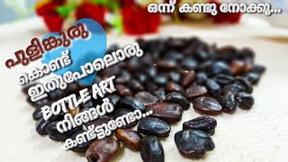 പുളിങ്കുരു കൊണ്ട് ഒരു കിടിലൻ bottle art/bottle art with tamarind seeds/1st in youtube/stylish voyage