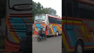 Bis ROSALIA INDAH jetbus 3 menuju kota palembang #bismaniacommunity #videoshort