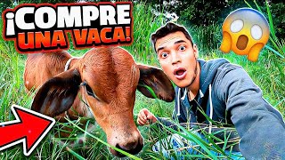 CONTRATÉ UNA VACA BEBÉ PARA QUE AYUDE EN EL BUNKER - TATTO VLOGS