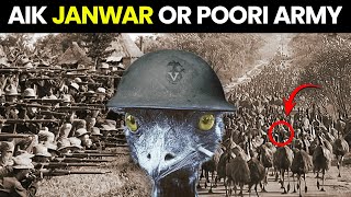 How Australia Lost War Against Birds | The Great EMU War