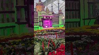 flower show at bangalore #malayalamshort #tamilshorts #kannadashorts #shortvideo #hindishorts #asm