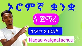 ኦሮምኛ ቋንቋ ትምህርት | learn afan oromo in amharic (afan oromo language learning ) #oromo #afanoromo