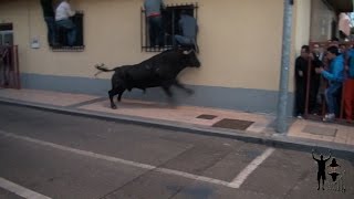 La Flecha  Con sus sustos y emociónes a partes iguales. Encierro YoTaurino.net