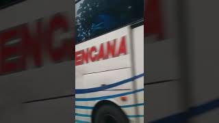 Bis PAHALA KENCANA jetbus 3 | Jakarta - Denpasar #bismaniacommunity #videoshort