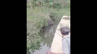 Diluar Dugaan Spot Mancing ini / Unexpected Fishing Spot #Shorts