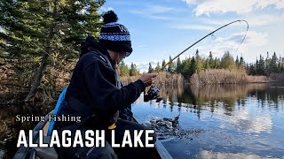 Fishing A Remote Lake For Native Brook Trout // Day 2 // North Maine Woods // Spring Camping