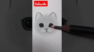 How to draw a cute cat pencil sketch// #shorts