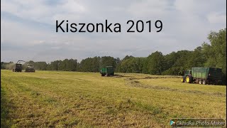 kiszonka  2019