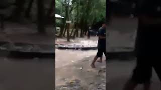 sungai ikan #ikan #shorts #shortvideo #fypシ #mancing