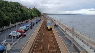 Serious Spotting: Dawlish (20/7/2024)