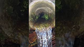 Caño de agua cristalina en cámara lenta. Fuente de Rodas. #montilla, #cordoba. Cerca de #larambla.