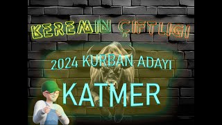 Keremin Çiftliği 2024 Kurbanlık Büyükbaş Katmer - SATILDI