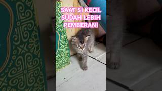 SEKARANG AKU SUDAH SIAP MELANGKAH MAJU