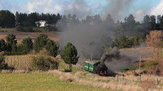 Treno storico in Sila con la FCL 353  - Pomeriggio