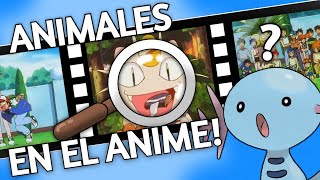 ¡¡ANIMALES en el anime de Pokémon!! (PRIMERA TEMPORADA)