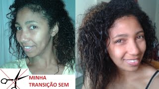 Transição Capilar sem Big Chop (24 meses sem química!)