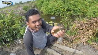 MANCING IKAN BETOK DI SPOT IDAMAN DI JAMIN STRIKE TERUS || JEMPONG MANCING#JM-43