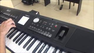 Roland BK-5 Teclado Arranjador por William Perten - Loja Transa Som