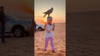 #desertsafari#shortsfeed #shortsviral #viralshort #viralreels #shorts #youtubeshorts #short