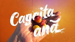 CAGAITA ANÃ | Uma raridade do Cerrado