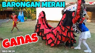 BARONGAN MERAH GANAS