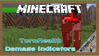 ToroHealth Damage Indicators Mod 1.18/1.16.5/1.12.2 & Tutorial Downloading -Installing For Minecraft