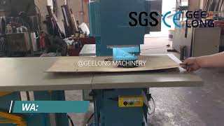 Geelong- Automatic Veneer Patcher, Veneer Repairing Machine